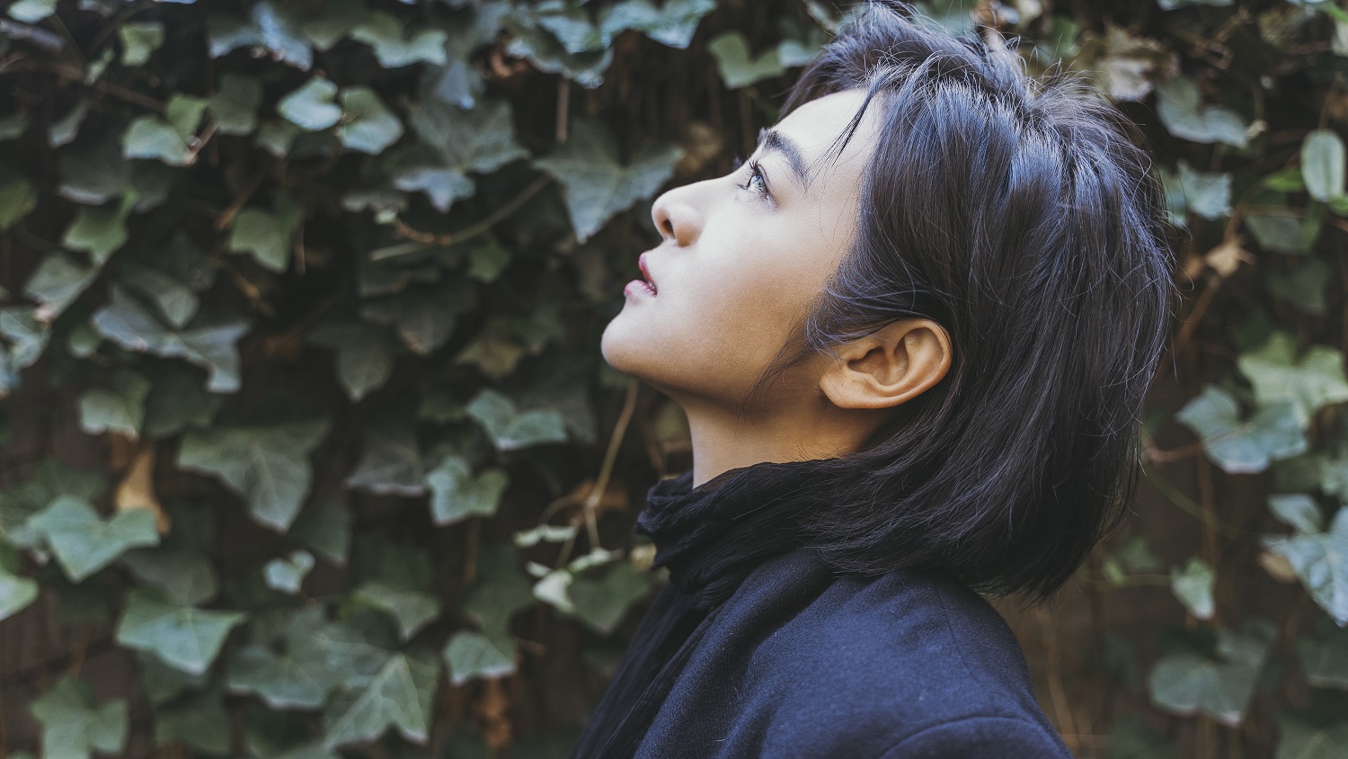 柏林泰迪熊奖电影《再见南屏晚钟》 大陆首映主演南吉备受赞誉