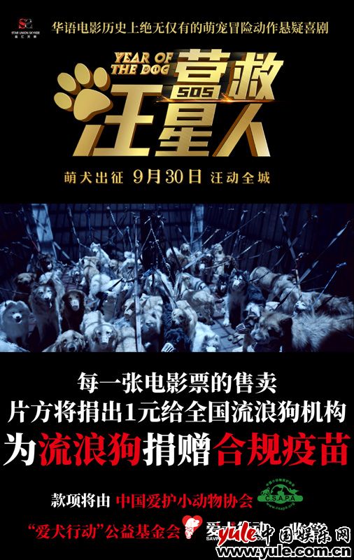 《营救汪星人》绝无仅有的萌宠冒险动作悬疑喜剧 紧张刺激很吸睛