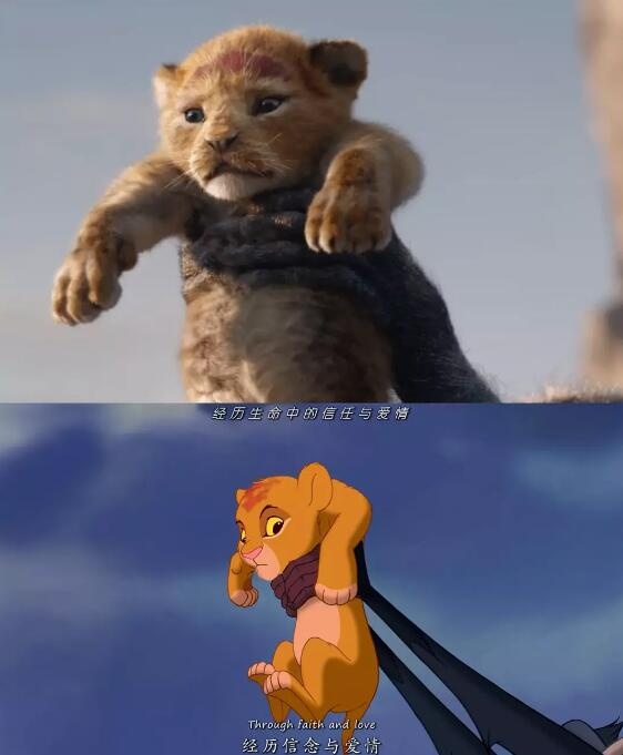 真人版《狮子王》没有人？网友：原来是Discovery