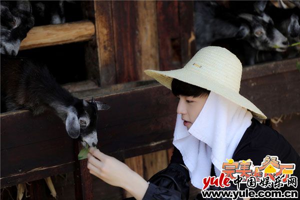 《完美的餐厅》原材料采集大作战！陈立农李子璇VS鸡舍母鸡！