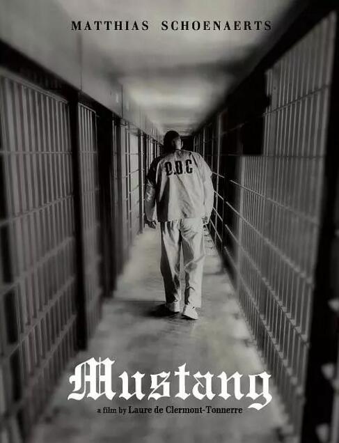 《野马》定档2019.3.15 马提亚斯·修奈尔饰罪犯