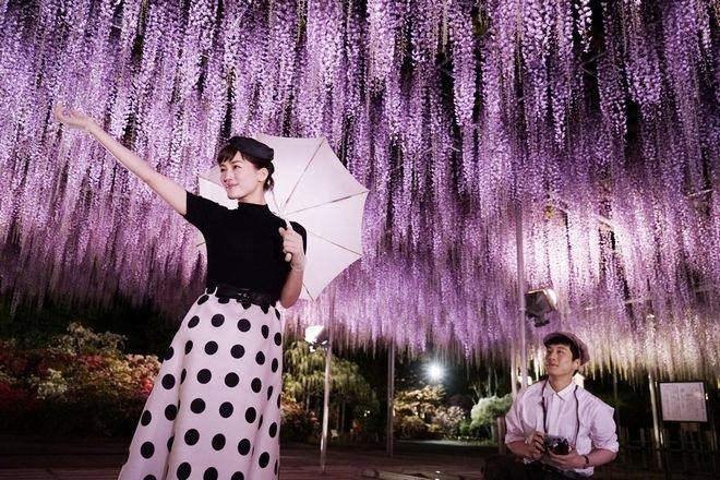 上影节零差评影片《今夜在浪漫剧场》有望引进