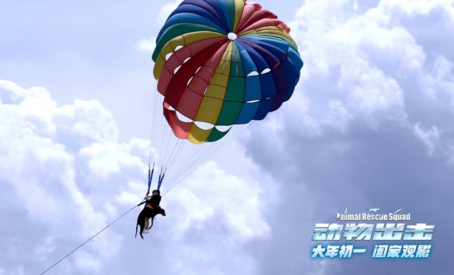 《动物出击》曝