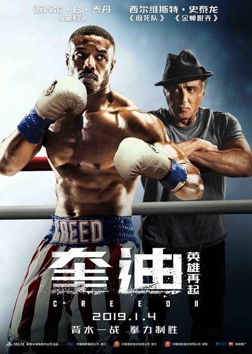 洛奇回归英雄不老《奎迪：英雄再起》定档1月4日