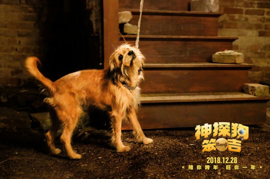 会盖被子能关灯？《神探狗笨吉》曝暖萌终极预告