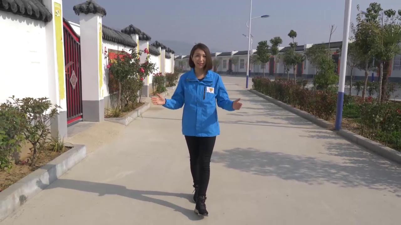 引起联合国关注的扶贫模式 ——《脱贫大决战》探访内乡“5+”扶贫模式