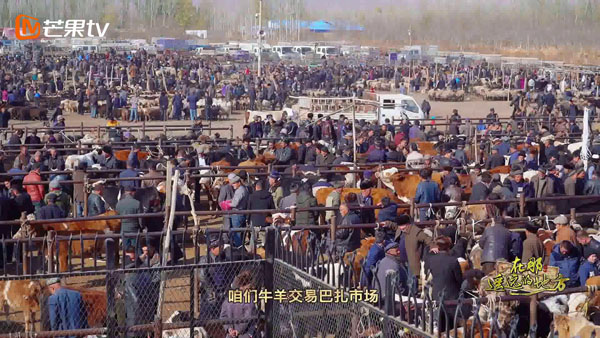 走进祖国最西端，《在那遥远的地方》带你领略喀什风土人情