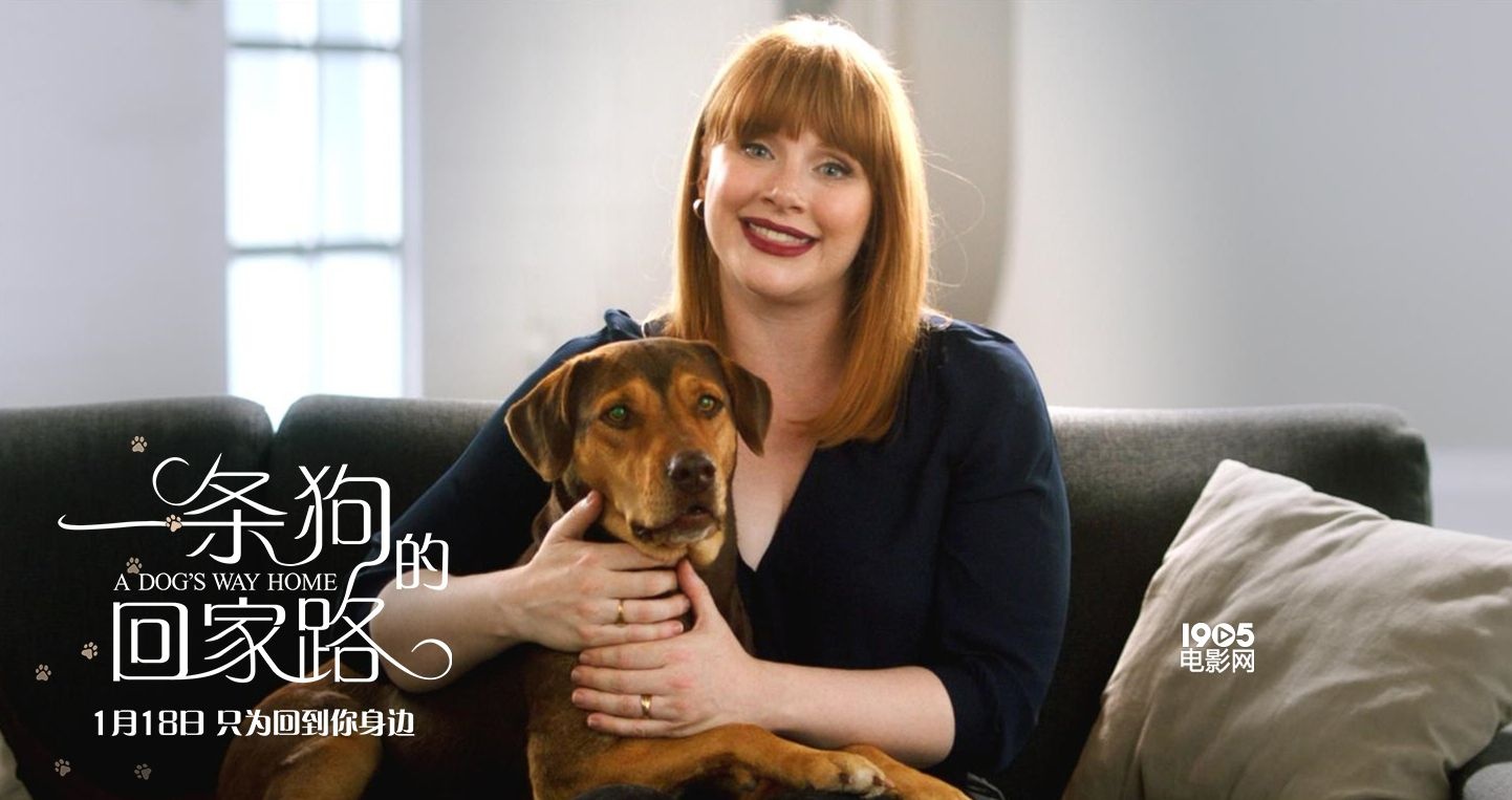 《一条狗的回家路》曝特辑 贝拉实现“狗生逆袭”