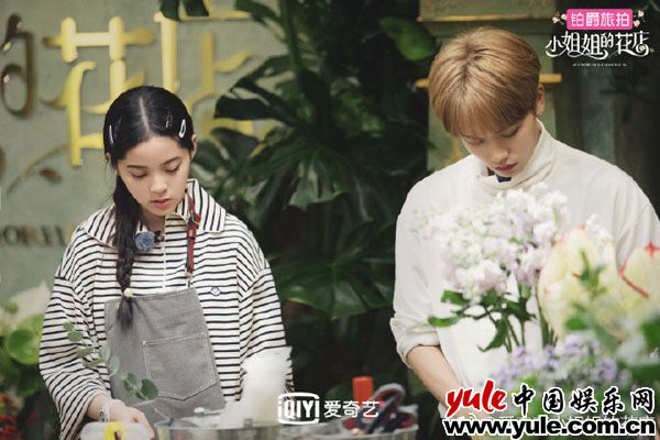 《小姐姐的花店》小S游戏黑洞宋佳送礼强迫症 林彦俊小鬼自曝女神