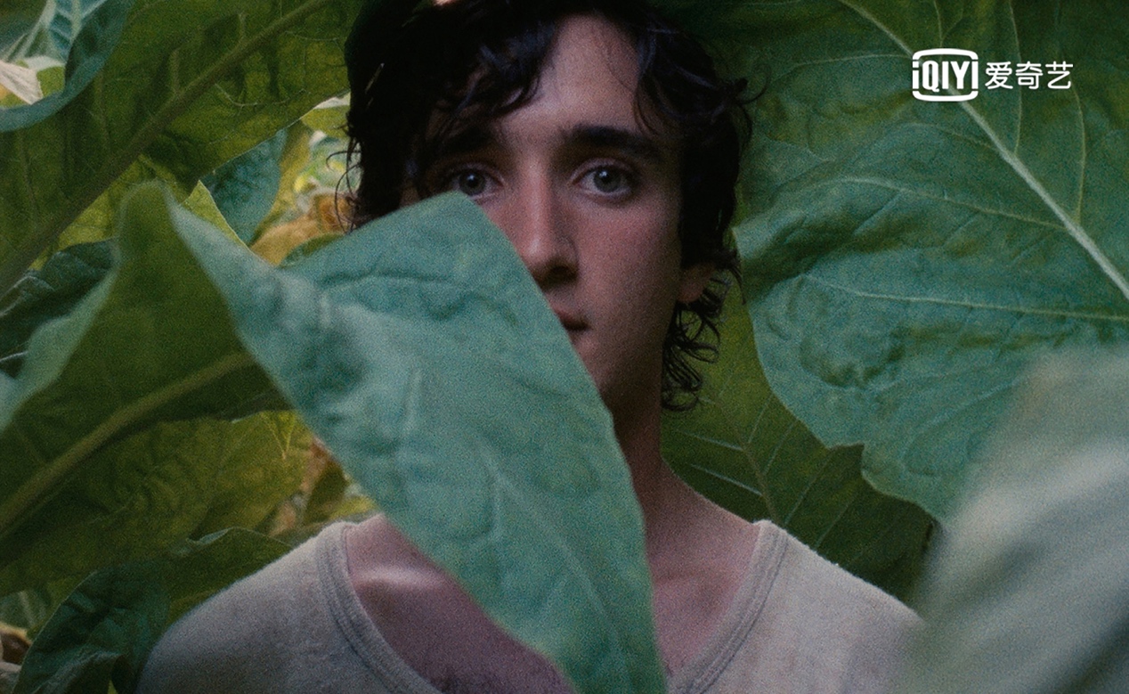 熊浩推荐《幸福的拉扎罗》上线 更多年度好片将登文艺院线