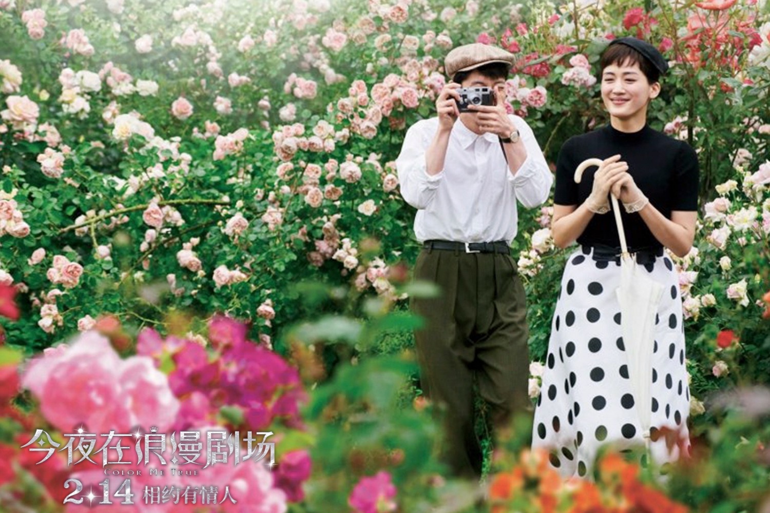 《今夜在浪漫剧场》十大梦幻场景 告白电影艺术