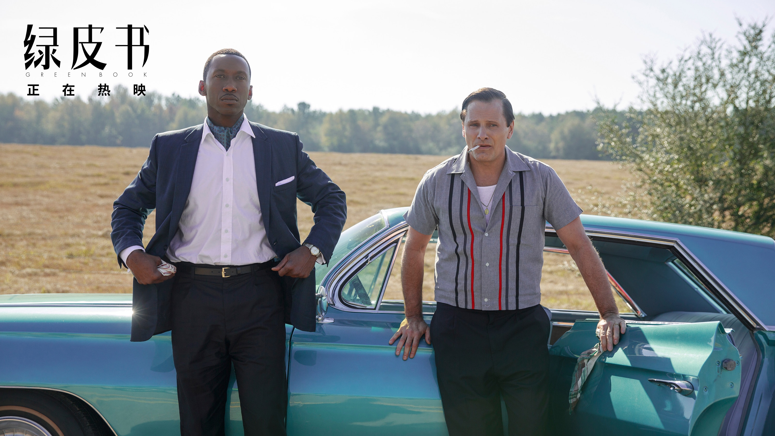 《绿皮书》获9.6高分！任素汐：时时刻刻都在打动