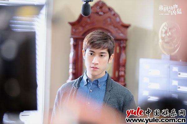 《藤科动物也凶猛》聚焦留学题材  徐璐李治廷诠释“凶猛”青春