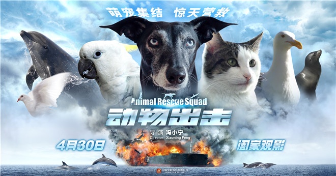 《动物出击》“宠宠欲动”预告 阖家观影首选佳作