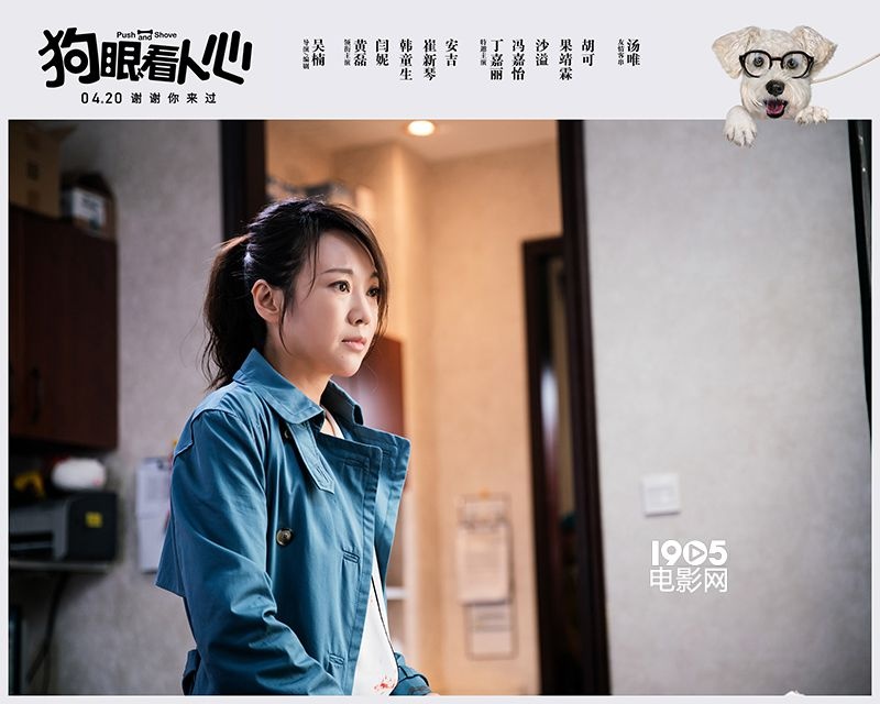 黄磊很无奈！《狗眼看人心》竟闹上了民生新闻！