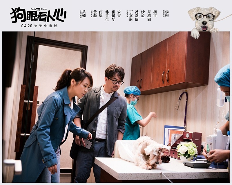 《狗眼看人心》再曝预告 爱犬催泪告白黄磊闫妮
