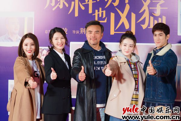 媒体探班《藤科动物也凶猛》 蔡蝶闯梦诠释女性力量