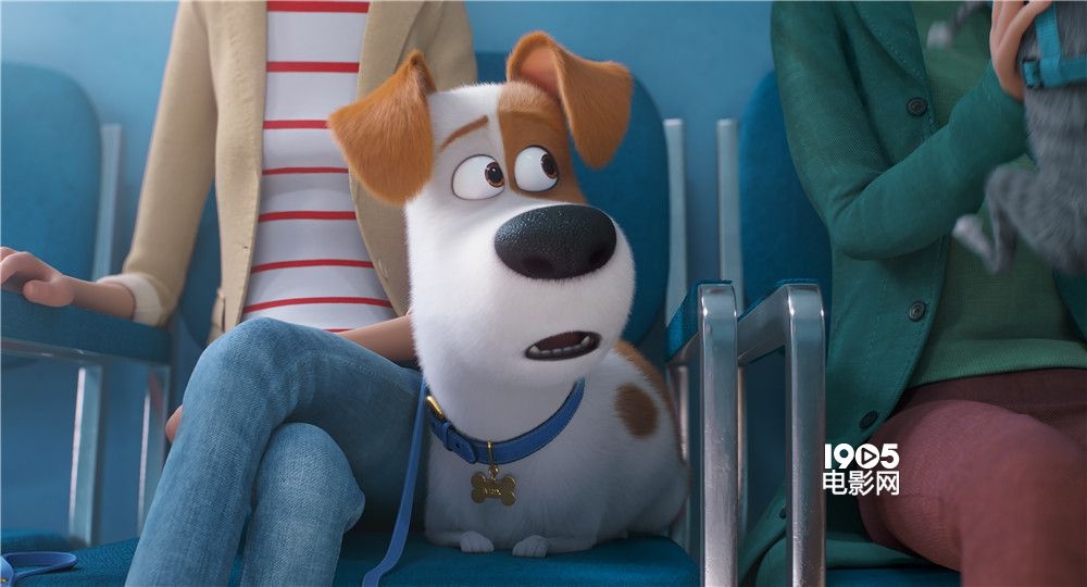 《爱宠大机密2》曝新预告 “嗨皮萌宠”爆笑成长