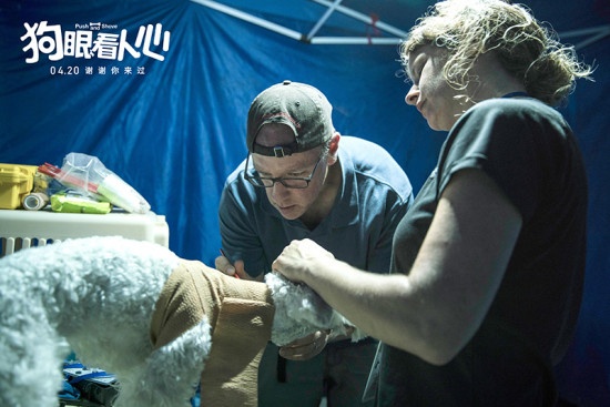 揭秘幕后 《狗眼看人心》为训练23只狗狗拼了！