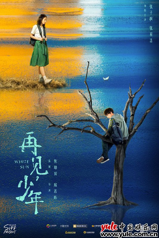 《再见，少年》曝先导海报 张子枫演绎浪潮之下的年代青春