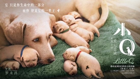 电影《小Q》8月1日上映 爱就是要“相伴一辈子”