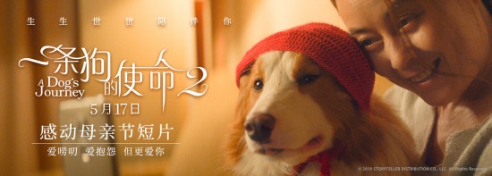 爱唠叨但也爱你！《一条狗的使命2》曝母亲节视频