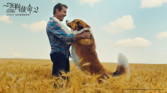 狗狗能陪伴你多久？《一条狗的使命2》曝终极预告