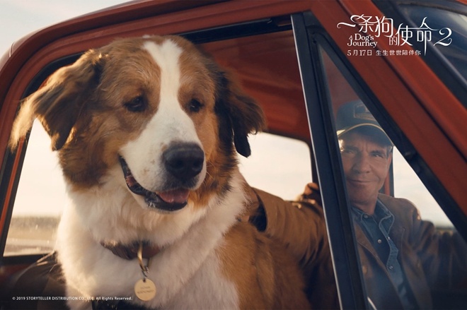 《一条狗的使命2》热映中 用爱治愈每个孤单的人