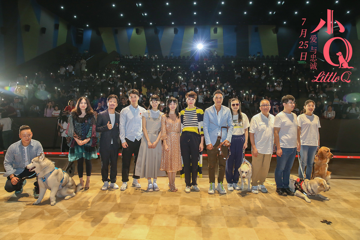 电影《小Q》北京首映 千人见证中国第一条导盲犬退役