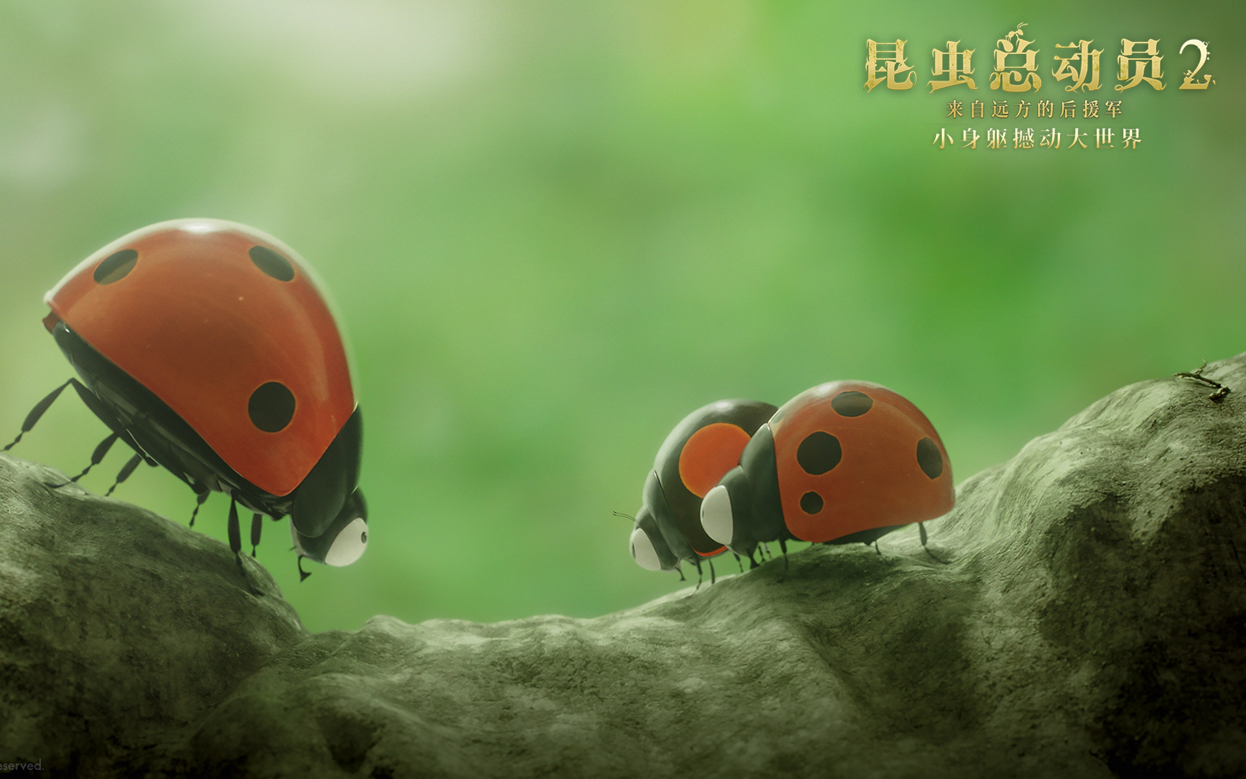 教育部中宣部推荐优秀影片  《昆虫总动员2》成中小学生最爱电影