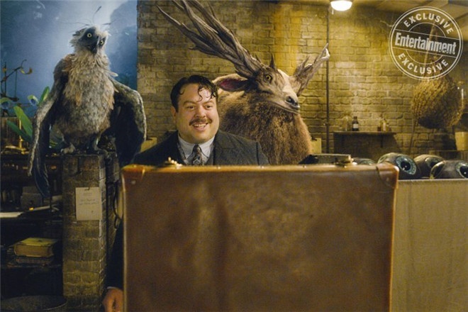 《神奇动物3》明年2月开拍 罗琳正加速创作剧本