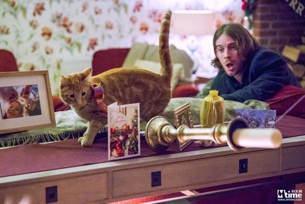 吸猫大片《鲍勃的礼物》即将开拍  预计明年年底上映