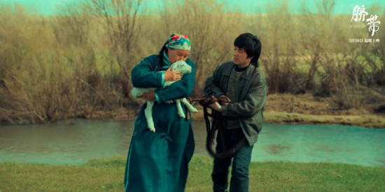 今日影评 |《脐带》：连接着“逆位”的母子情