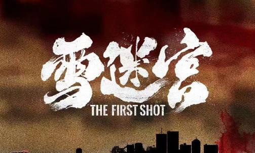 刑侦题材网剧《雪迷宫》发布组讯 张艺谋担任监制