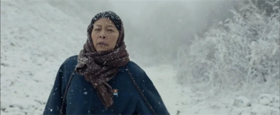 今日影评|《申纪兰》：以血肉之躯，比肩钢铁之勋