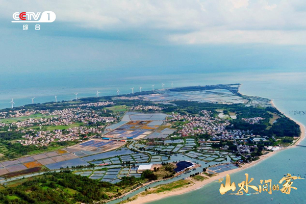 从“碧海银滩”到“沙漠绿洲”，《山水间的家》开启生态之旅