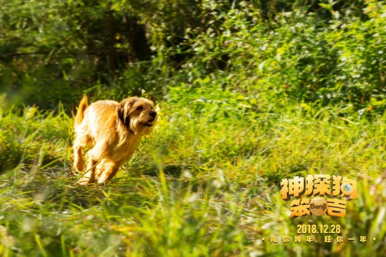 这只汪星人拿过金球奖 《神探狗笨吉》今日上映