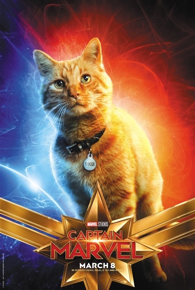 橘猫古斯：看完《惊奇队长》观众一定会议论它！