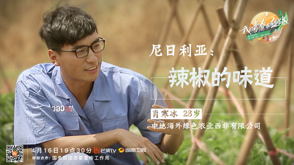 芒果TV《我的青春在丝路》  90后小伙尼日利亚种菜记