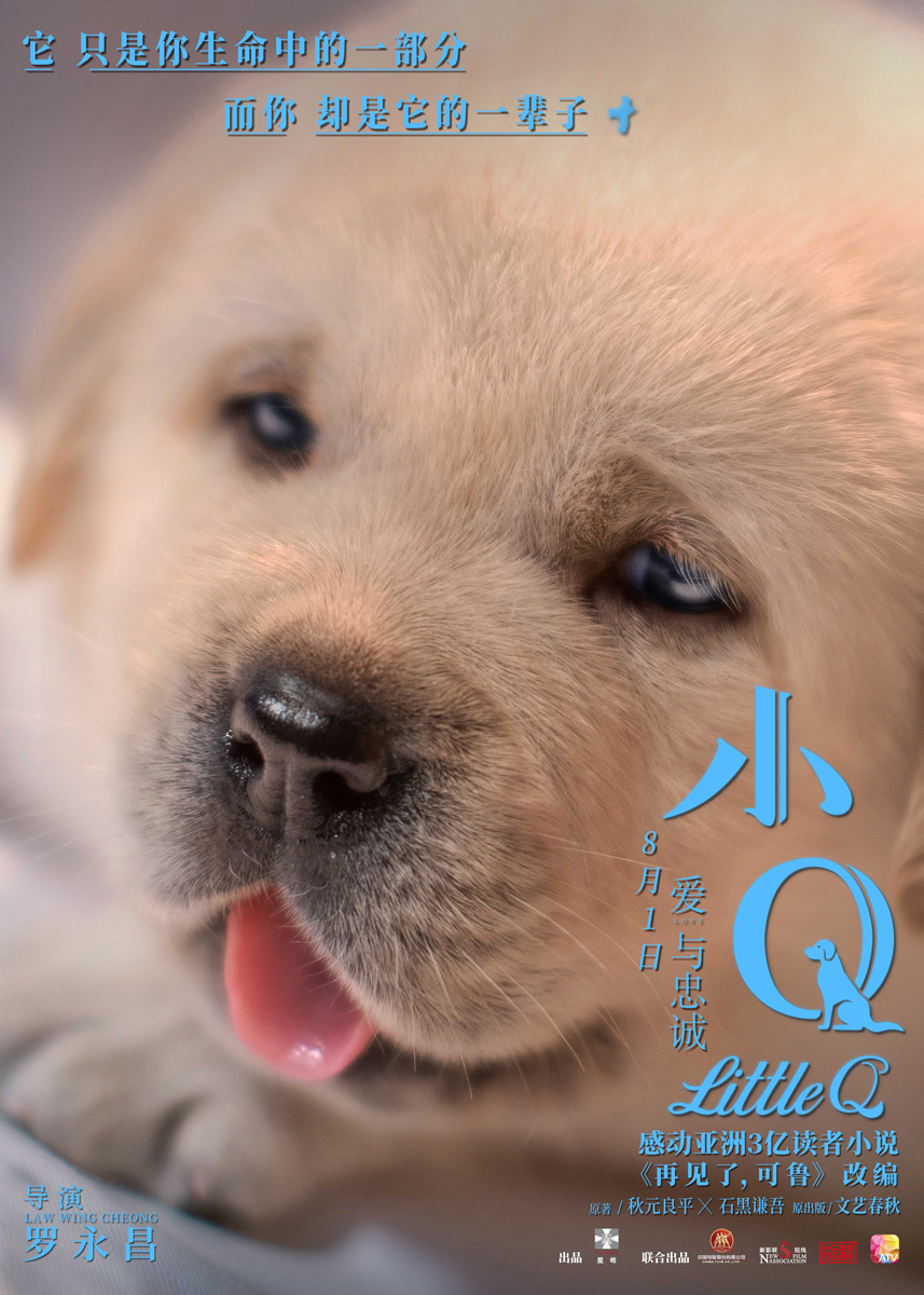电影《小Q》海报萌力升级融化偏见 人狗相守一生动人催泪