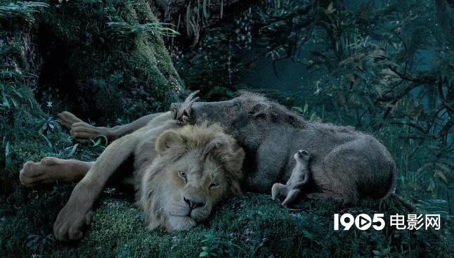 真人《狮子王》评分国内外差距大：仅特效受认同