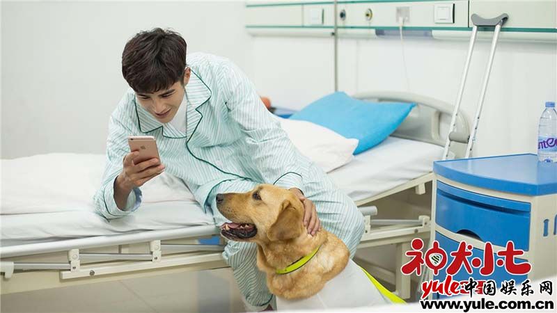 《神犬小七3》姜潮宋妍霏遭遇生命威胁 萌宠围剿毒贩立大功