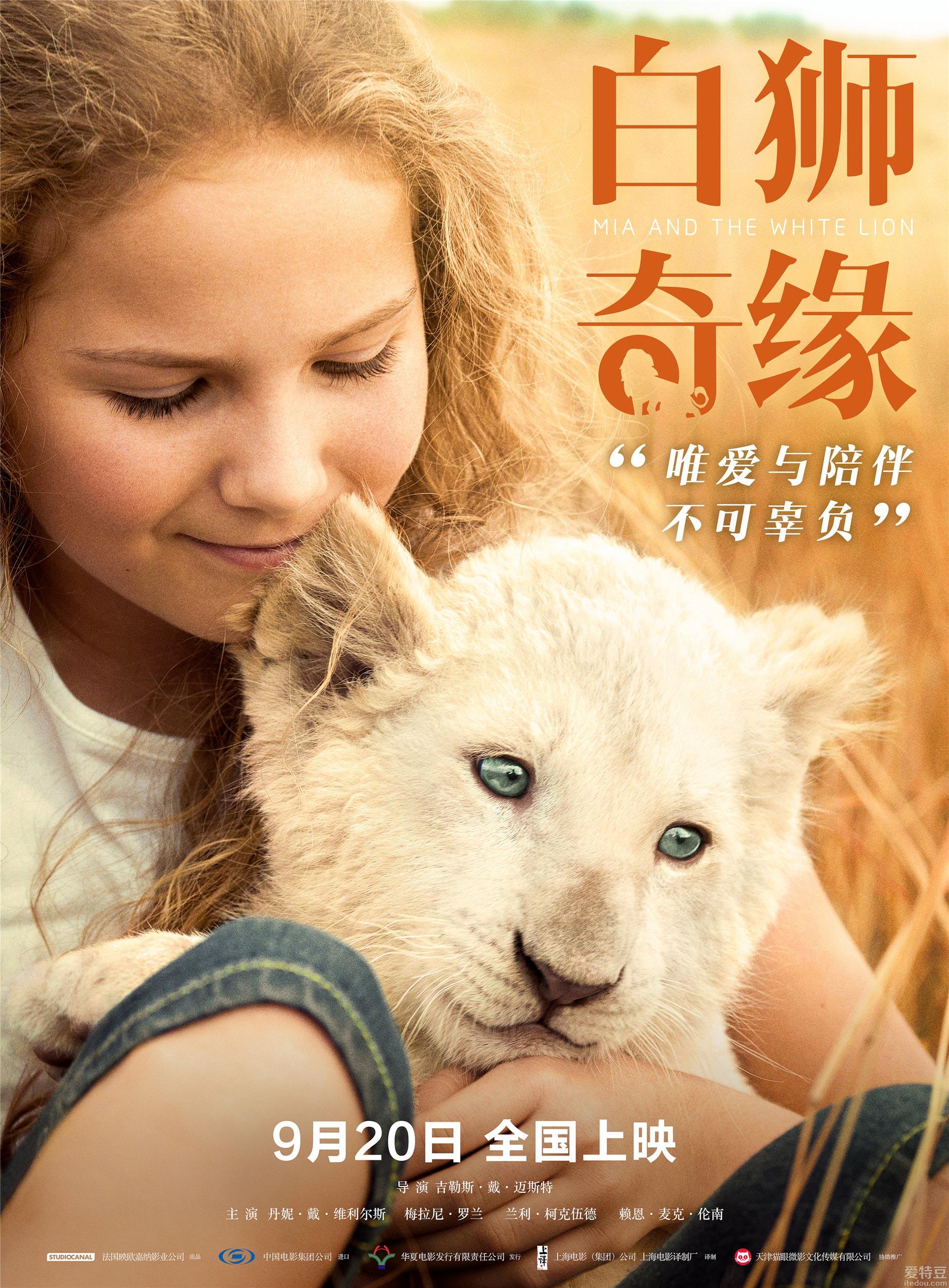 三年拍摄真狮出镜  《白狮奇缘》邀您9月20日一起“撸狮”！