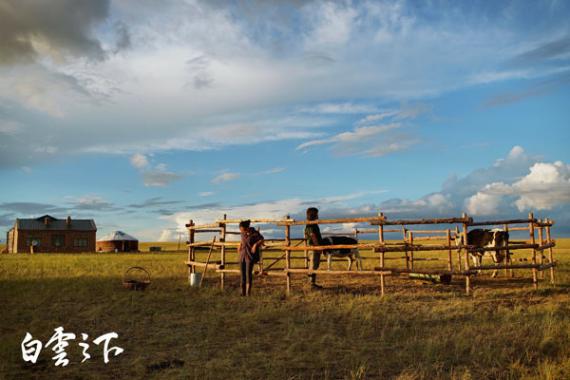 《白云之下》成唯一入围2019东京电影节主竞赛单元华语片