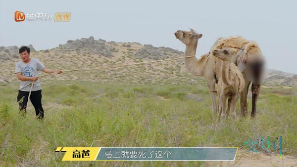 《变形计》沙漠救援悟生命力量 街头蒙眼拥抱获“温暖初体验”