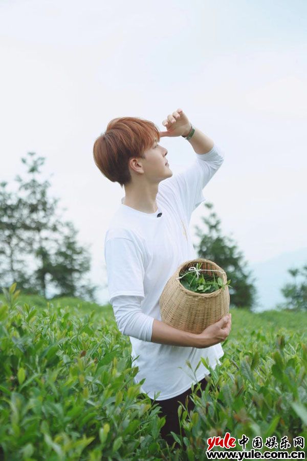 徐海乔《益起追光吧》化身采茶郎花式比拼 为扶贫公益助力