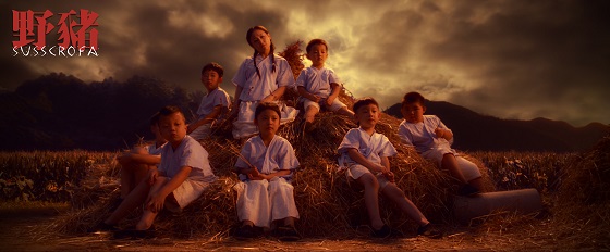 用电影《野猪》向猪年说再见！