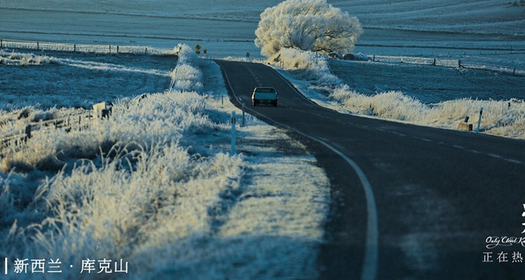 《只有芸知道》勾起中老年观众强烈共鸣 带动父母观影热潮 