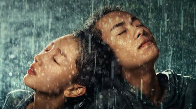 第三十九届香港电影金像奖《少年的你》获12项提名