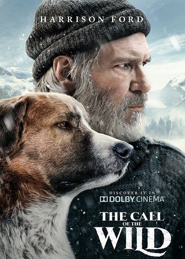 《野性的呼唤》国内改档待映：“一条有主角光环的狗”